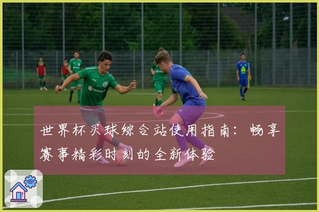 世界杯买球综合站使用指南：畅享赛事精彩时刻的全新体验