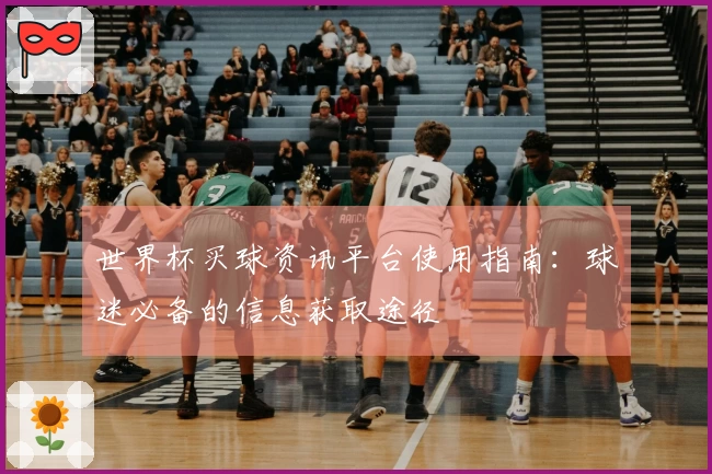 世界杯买球资讯平台使用指南：球迷必备的信息获取途径