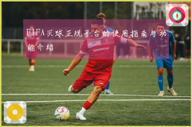 FIFA买球正规平台的使用指南与功能介绍