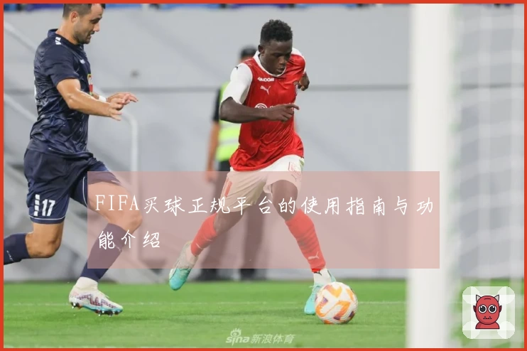 FIFA买球正规平台的使用指南与功能介绍