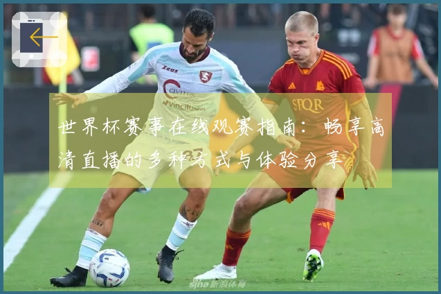 世界杯赛事在线观赛指南：畅享高清直播的多种方式与体验分享