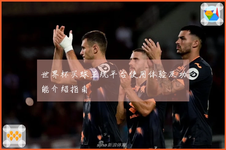 世界杯买球正规平台使用体验及功能介绍指南