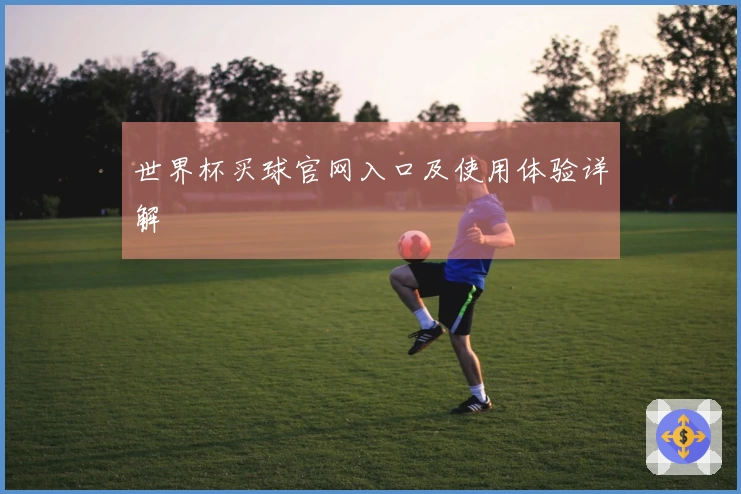 世界杯买球官网入口及使用体验详解