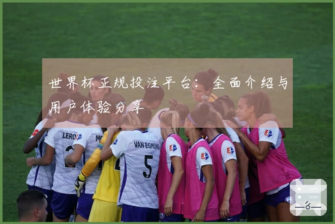 世界杯正规投注平台：全面介绍与用户体验分享